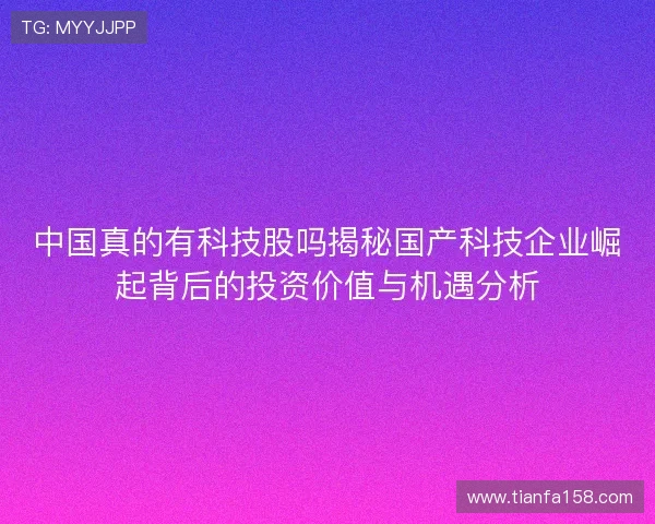 中国真的有科技股吗揭秘国产科技企业崛起背后的投资价值与机遇分析